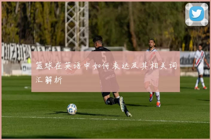 篮球在英语中如何表达及其相关词汇解析